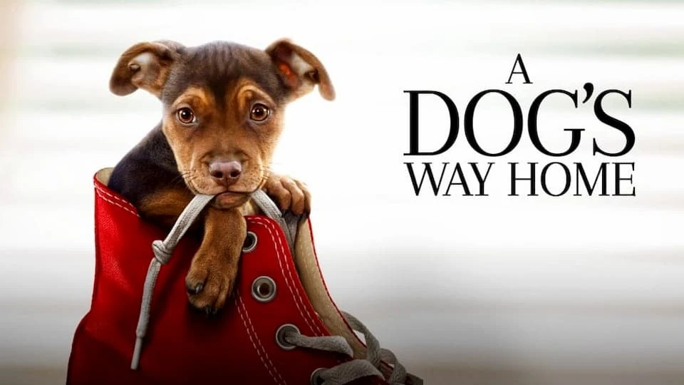 Dogs Way Home