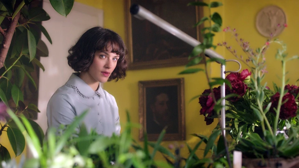 This Beautiful Fantastic