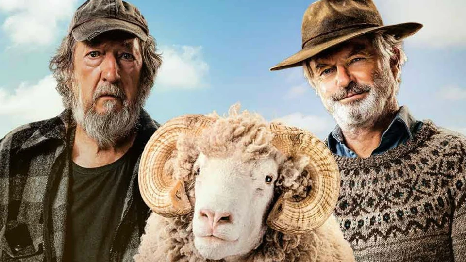 Rams