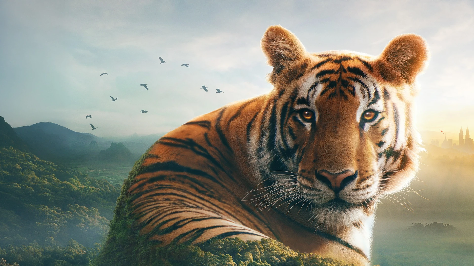 Attenboroughs Asia HERO